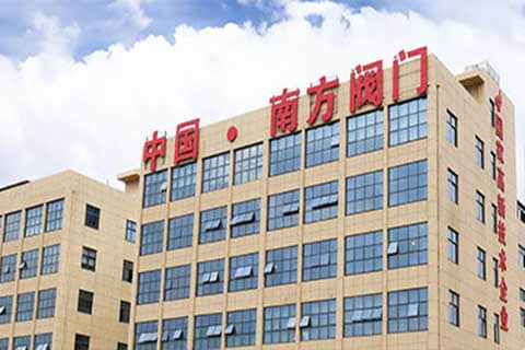 南方閥門集團(tuán)外貿(mào)獨立站建設(shè)與谷歌SEO/SEM